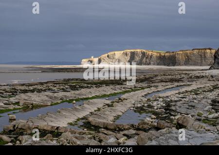 Somerset Jurassic Coast at Kilve Beach looking towards Lilstock at low tide - Somerset UK Stockfoto