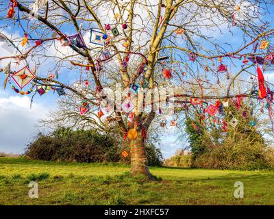 Wunschbaum mit bunten Angeboten auf Clifton Down in Bristol, Großbritannien Stockfoto