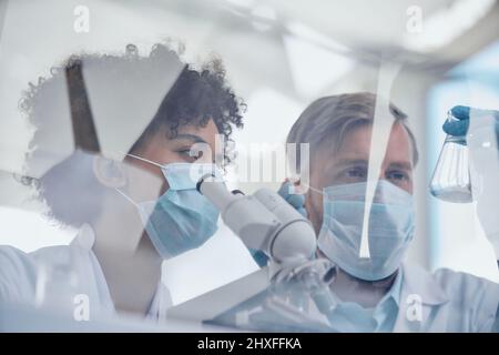 Wissenschaftlerin in einer Schutzmaske arbeitet in einem Labor. Stockfoto