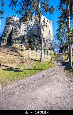 Mittelalterliche Ruinen von Valekov Castle Stockfoto