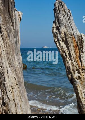 Zweige eines gebleichten, toten Baumes umrahmen eine friedliche, seebetragende Jacht und den Schling einer alten Seefestung auf dem Solent. Stockfoto