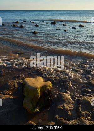 Der dreizonenige Fußabdruck eines Dinosauriers, der versteinert und dann am Strand von Compton Bay in warmem, schrägen Licht einer untergehenden Sonne enthüllt wurde. Stockfoto