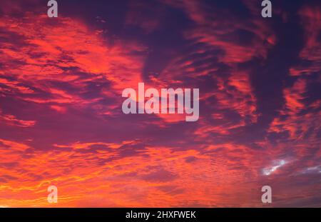 Himmel bei Sonnenuntergang Textur Hintergrund Overlay. Dramatische rote, orange, lila Wolken. Hochauflösende Fotografie, perfekt für den Austausch von Himmel Stockfoto