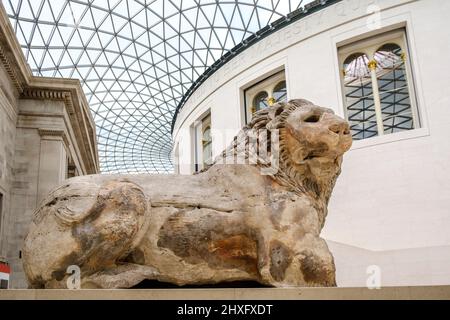 Britisches Museum, Löwe von Cnidus, Skulptur aus dem antiken Griechenland, großes Atrium von Elisabeth II., London, England, Großbritannien. Stockfoto