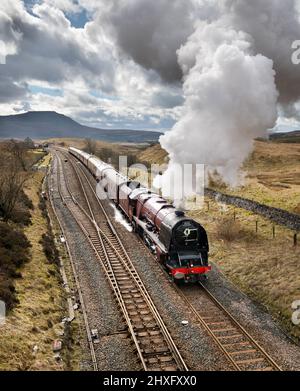 Lokomotive 'die Herzogin von Sutherland' mit 'The Cumbrian Mountaineer', ein Dampfspecial am Samstag auf der Settle-Carlisle-Bahn. Der Zug ist in Blea Moor zu sehen, nachdem er das Ribblehead Viadukt verlassen hat, das nach Carlisle führt. Die starken Rückenwinde trugen den Dampf hoch in die Luft. Hinter dem Zug sieht man den Gipfel von Ingleborough. Viele Leute haben sich herausgestellt, diese beliebte Lokomotive zu sehen, da die Herzogin von Sutherland, die 1938 gebaut wurde, jetzt im Süden Englands liegt und seit einigen Jahren nicht mehr auf der Linie Settle-Carlisle zu sehen ist. Quelle: John Bentley/Alamy Live News Stockfoto