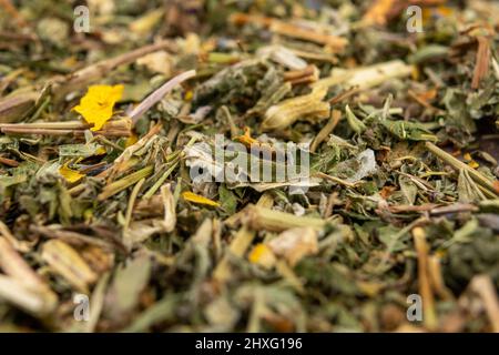 Getrocknete Kräuterblütenteeblätter aus nächster Nähe. Makro Stockfoto