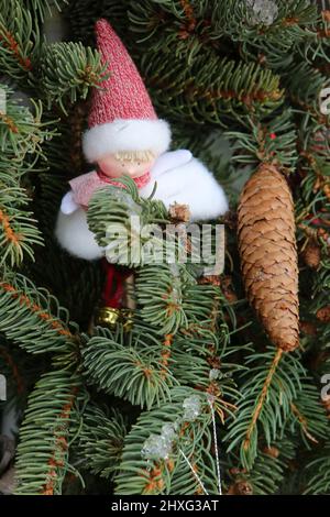 Figur dans un sapin. Saint-Gervais-les-Bains. Haute-Savoie. Auvergne-Rhône-Alpes. Frankreich. Stockfoto