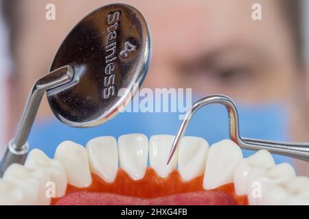 Ein Zahnarzt untersucht die Zähne, Blick aus dem Mund des Patienten, Nahaufnahme. Stockfoto