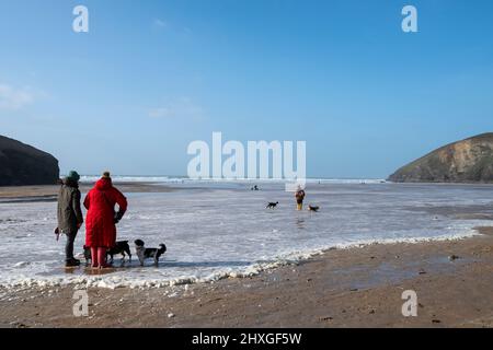 Trenance Beach Cornwall UK während der Winterferien mit Menschen und ihren Hunden am Strand spazieren. Stockfoto