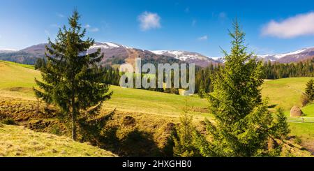 karpaten-Landschaft mit grünen Wiesen und Wald. Schneebedeckte Gipfel des borzhava-Bergrückens in der Ferne. Schöne Landschaft auf einem Su Stockfoto