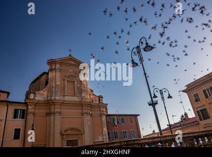 Dorf Tarquinia, Viterbo, Latium, Italien - Eine Schar von Vögeln, Tauben und Tauben, fliegt über die Dächer von Gebäuden, in den blauen Abendhimmel bei Sonne Stockfoto