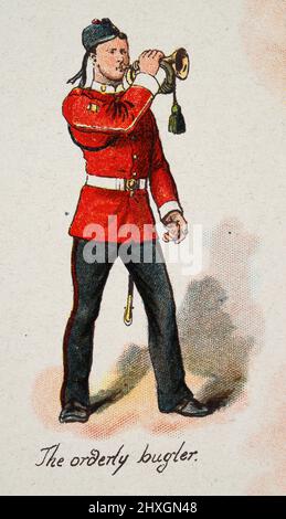 Vintage-Illustration des Army Buglers, der den Bugle bläst, viktorianisches britisches Militär 19.. Jahrhundert Stockfoto