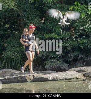 Frau in schwarzen Shorts und Oberteil, mit tätowierten Beinen, Kleinkind mit Vogel im Flug in der Nähe im Stadtpark in Australien Stockfoto