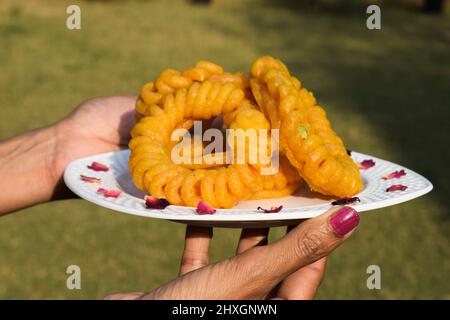 Weibchen hält Imarti Süßigkeiten, beliebtes süßes Gericht aus Indien. Kreisförmige Dessert in Spiralform mit Urad dal Mehle und Zuckersirup. Serviert und gegessen Stockfoto