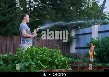 Wasserstrahlspritzen bei Tageslicht. Ein Mann bewässert im Garten vor dem Hintergrund eines Eisenzauens Pflanzen im Freien. Garten- und Hobbykonzept. Hochwertige Fotos Stockfoto