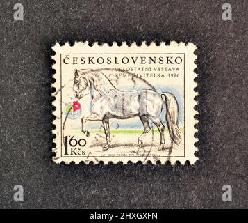 Abgesagte Briefmarke gedruckt von der Tschechoslowakei, die Pferd zeigt, um 1976. Stockfoto