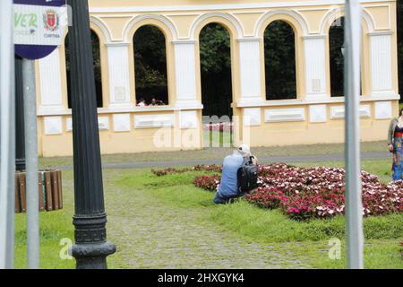 Curitiba, Parana, Brasilien. 12. März 2022. (INT) Besucherbewegung im Deutschen Stadtwald in Curitiba. 12. März 2022, Curitiba, Parana, Brasilien: Besucher des German Municipal Forest, einem Raum, der den ersten Deutschen gewidmet ist, die 1833 in Curitiba ankamen. Der Raum, der sich im Viertel Vista-Esele befindet, hat eine Fläche von 38.000 Quadratmetern und seine Einrichtungen und Elemente sind eine Hommage an Ã¢â‚¬', die Kultur, Architektur und ein bisschen Magie vereint - an die germanische Ethnie. (Bild: © Edson De Souza/TheNEWS2 via ZUMA Press Wire) Stockfoto