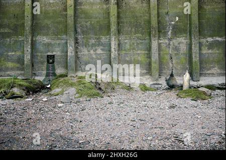 Bootsanleger und kleine Abwasserabfluss an der Wand des Ufers der themse in london mit Algen und Kieselsteinen Stockfoto