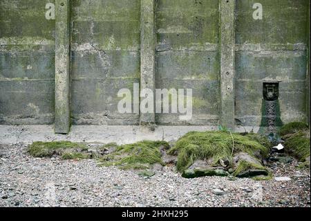 Kleine Abwasserabfluss an der Wand des Ufers der themse in london mit Algen und Kieselsteinen Stockfoto