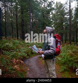 Erkunden Sie Ihre Umgebung. Aufnahme eines Mannes in einem Kiefernwald mit einer Karte, der seine Orientierung herausfindet. Stockfoto