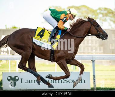 Oldsmar, FL, USA. 12. März 2022. 12. März 2022: Classic Causeway #4 unter Jockey Irad Ortiz Jr. gewinnt am 12. März 2022 das Tampa Bay Derby (Grad 2) bei Tampa Bay Downs in Tampa, F.L. Carson Dennis/Eclipse Sportswire/CSM/Alamy Live News Stockfoto