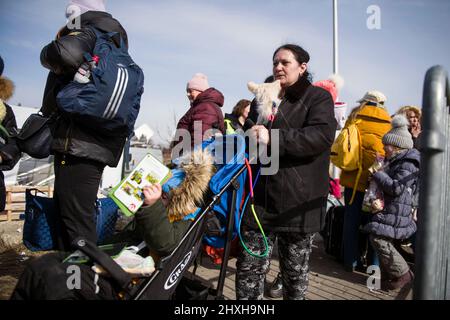 Medyka, Polen. 12. März 2022. Ukrainische Flüchtlinge stehen Schlange, um an Bord eines Reisebusses zu gehen, der Flüchtlinge nach Przemysl bringt. Ukrainische Flüchtlinge am Grenzübergang Medyka am 16.. Tag der russischen Invasion in der Ukraine. (Foto von Attila Husejnow/SOPA Images/Sipa USA) Quelle: SIPA USA/Alamy Live News Stockfoto