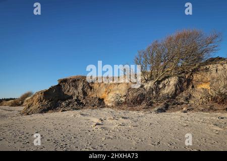 03. März 2022, Schleswig-Holstein, Nieblum: Topsoil ist hinter den Sanddünen zu sehen, die am Strand zwischen Gotinger Cliff und FKK Beach auf der Nordseeinsel Föhr weggespült wurden. Die Hurrikan-Tiefstände „Nadja“ und „Zeynep“ haben erhebliche Schäden am Strand verursacht und Düneneinbrüche auf den nordfriesischen und ostfriesischen Inseln verursacht. Nach den schweren Winterstürmen mit teilweise starken Sturmfluten rechnen viele deutsche Nordseeinseln mit erheblichen Kosten, zum Beispiel für den Wiederaufbau von abgespülten Stränden und die Erneuerung der touristischen Infrastruktur. (Für dpa 'Inseln erwarten teilweise hohe Kosten für neue b Stockfoto