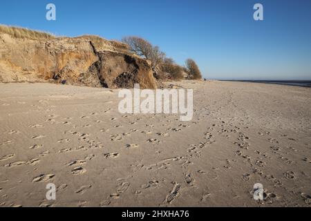 03. März 2022, Schleswig-Holstein, Nieblum: Topsoil ist hinter den Sanddünen zu sehen, die am Strand zwischen Gotinger Cliff und FKK Beach auf der Nordseeinsel Föhr weggespült wurden. Die Hurrikan-Tiefstände „Nadja“ und „Zeynep“ haben erhebliche Schäden am Strand verursacht und Düneneinbrüche auf den nordfriesischen und ostfriesischen Inseln verursacht. Nach den schweren Winterstürmen mit teilweise starken Sturmfluten rechnen viele deutsche Nordseeinseln mit erheblichen Kosten, zum Beispiel für den Wiederaufbau von abgespülten Stränden und die Erneuerung der touristischen Infrastruktur. (Für dpa 'Inseln erwarten teilweise hohe Kosten für neue b Stockfoto