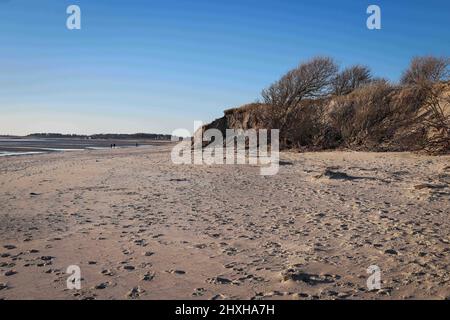 03. März 2022, Schleswig-Holstein, Nieblum: Topsoil ist hinter den Sanddünen zu sehen, die am Strand zwischen Gotinger Cliff und FKK Beach auf der Nordseeinsel Föhr weggespült wurden. Die Hurrikan-Tiefstände „Nadja“ und „Zeynep“ haben erhebliche Schäden am Strand verursacht und Düneneinbrüche auf den nordfriesischen und ostfriesischen Inseln verursacht. Nach den schweren Winterstürmen mit teilweise starken Sturmfluten rechnen viele deutsche Nordseeinseln mit erheblichen Kosten, zum Beispiel für den Wiederaufbau von abgespülten Stränden und die Erneuerung der touristischen Infrastruktur. (Für dpa 'Inseln erwarten teilweise hohe Kosten für neue b Stockfoto