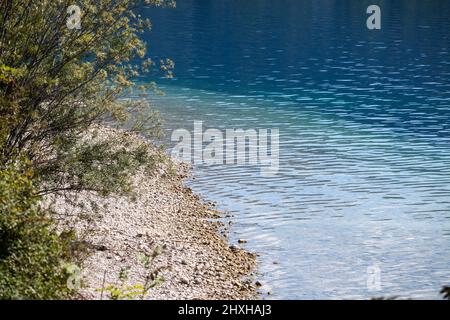 Bild des blauen klaren Wassers des Sees Bohinj, in Slowenien, mit einem felsigen Strand an der Küste. Stockfoto