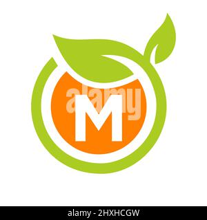 Eco Logo Design Buchstabe M Vektor. Eco Leaf Logo Icon Design-Vorlage auf M Letter Konzept Stock Vektor