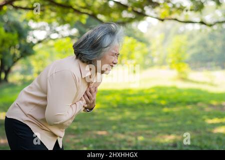 Ältere asiatische Frau Problem Brustschmerzen oder Herzinfarkt im Freien im Park, Herzprobleme, eine ältere Frau mit Brustschmerzen leiden an Herzerkrankungen, h Stockfoto