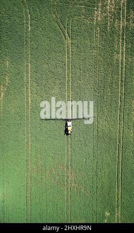 Blick über den düngenden Traktor auf einer hell sonnigen grünen Wiese Stockfoto