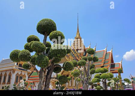 Topiary Ball Tree im Grand Palace, Bangkok, Thailand Stockfoto