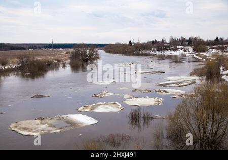 Kleine weiße Eisschollen Reihen sich in einer Linie aneinander und schweben den Fluss hinunter. Frühling, Schnee schmilzt, trockenes Gras rundherum, Überschwemmungen beginnen und der Fluss überfließt. Tag, bewölktes Wetter, weiches warmes Licht. Stockfoto