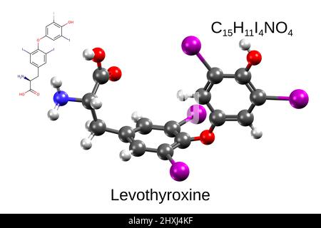 Chemische Formel, Skelettformel und 3D Ball-and-Stick-Modell des menschlichen Schilddrüsenhormons, Levothyroxin, weißer Hintergrund Stockfoto