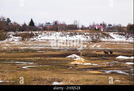 Eine breite Lichtung mit geschmolzenem Schnee und Pfützen, hinter einem Dorf auf einem Hügel. Frühling, der Schnee schmilzt, es gibt Pfützen von Schlamm und Schlamm ringsum. Tag, bewölktes Wetter, weiches warmes Licht. Stockfoto