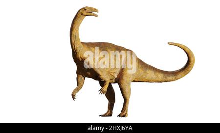 Plateosaurus, Dinosaurier aus der späten Trias, isoliert auf weißem Hintergrund Stockfoto