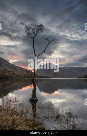 Atemberaubendes Landschaftsbild von Buttermere im Lake District bei Sonnenaufgang im Herbst mit dramatischem stürmischen Himmel Stockfoto