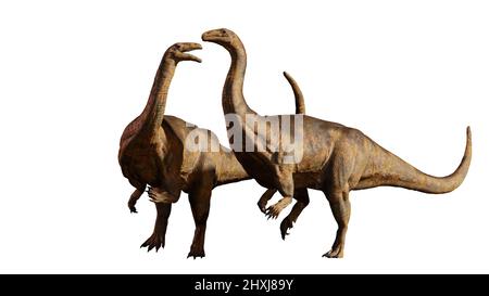 Plateosaurus-Paar, pflanzenfressende Dinosaurier, die vor 214 bis 204 Millionen Jahren lebten, isoliert auf weißem Hintergrund Stockfoto