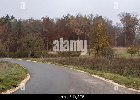 Eine Landstraße in der Herbstlandschaft auf der schwäbischen alb in Deutschland Stockfoto