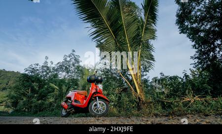 Das rote Motorrad auf Waldweg Reise. Ein Roller, in der Nähe einer tropischen Palme. Asien Thailand Reiten Tourismus. Einzelmotorrad, Miete. Schutzhelm. Stockfoto