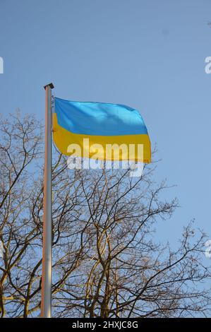 Flagge der Ukraine vor der Nathanael-Kirche am Grazer Platz 19 in Berlin, Deutschland - 12. März 2022. Stockfoto
