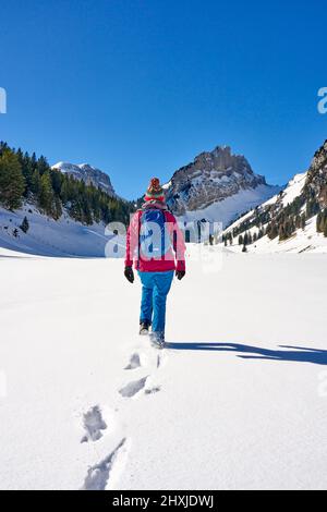 Frau beim Wandern in der verschneiten Berglandschaft des Alpsteingebirges bei Appenzell, Schweiz Stockfoto