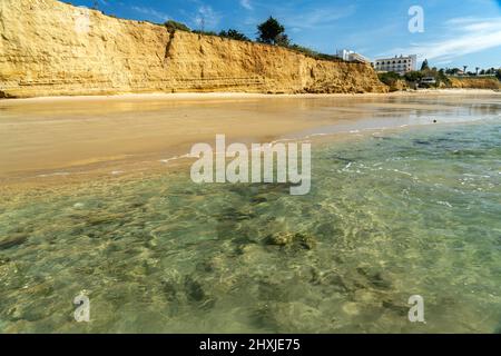 Der Strand Fuente de Gallo, Conil de la Frontera, Costa de la Luz, Andalusien, Spanien | Strand Fuente de Gallo, Conil de la Frontera, Costa de la Lu Stockfoto