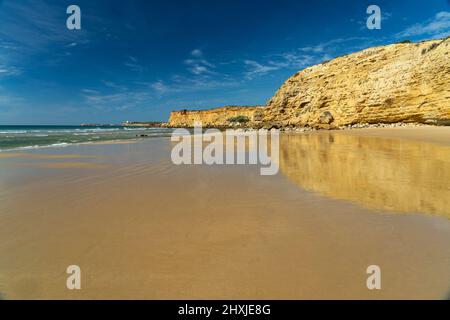 Der Strand Fuente de Gallo, Conil de la Frontera, Costa de la Luz, Andalusien, Spanien | Strand Fuente de Gallo, Conil de la Frontera, Costa de la Lu Stockfoto