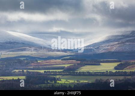 Die Cheviot Foothills im Herzen von Northumberland mit einem Staubstaub von Schnee auf den Hügeln. Stockfoto