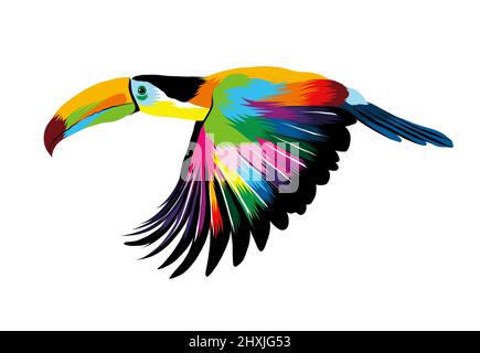 Abstrakter fliegender Tukan, tropischer Vogel aus bunten Farben. Farbige Zeichnung. Vektordarstellung von Farben Stock Vektor