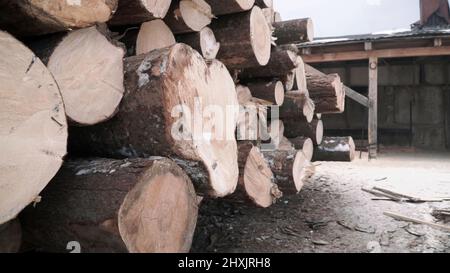 Holz liegt übereinander. Clip. Holzstämme nebeneinander in einer ungefähren Ansicht Stockfoto
