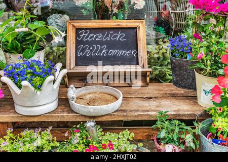 Eine Tafel mit der Aufschrift Herzlich Willkommen steht zwischen Blumen und Grünpflanzen | Eine Tafel mit der Aufschrift Herzlich Willkommen (A wa Stockfoto